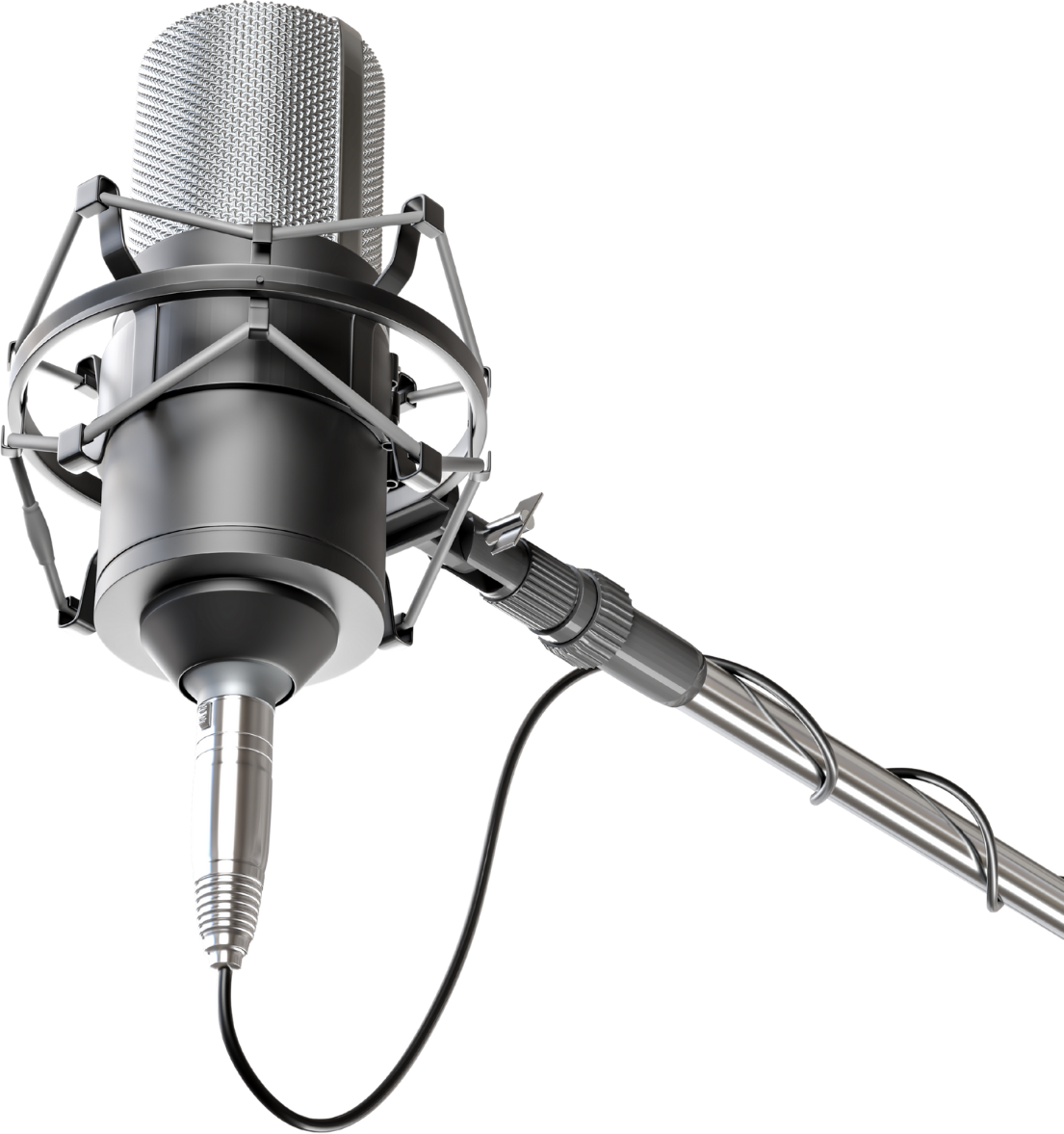 Professional Studio Condenser Microphone 3D Professional Studio Condenser Microphone